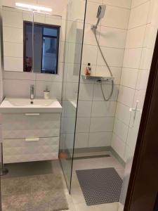 Apartman Sopia