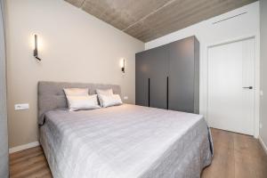 Luxury apartment near downtown