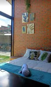 Jardim dos fundos do aeroporto - 沙佩科