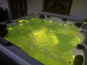 Holiday home Marta in nature with jacuzzi