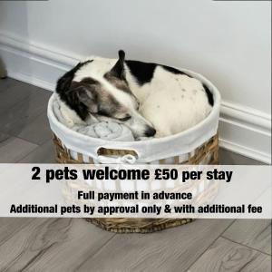 PLEASANT View Impressive Home In Stunning Rhondda Valley By STAE-homes