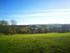 Das Burgberghaus Apartment Talaue 1.OG - Obermaubach