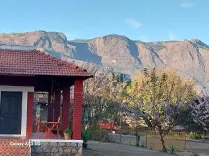 Tiger Tales - Masinagudi - Gūdalūr