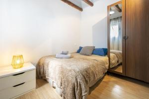 Temporary 2-bedroom apartment in Madrid Centro AMP964