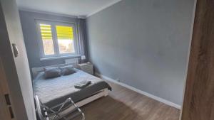 Apartament Modlin