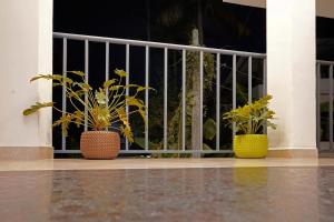 Greenview Velora Suits