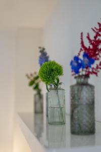 Central Studio Apartment with free BaselCard - Matisse