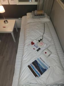 Koselig rom i sentrum Gratis Wifi og Parkering Rom 3 1 etg