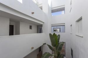 Chic & Bright Costa Ballena Getaway