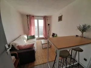 Studio proche plage avec balcon, petit garage et animaux admis - FR-1-324-561 - Les Bussolleries