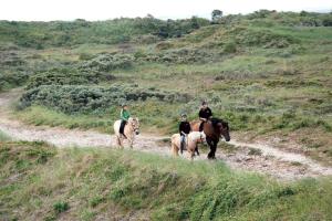 Ferienwohnung "Rundblick"