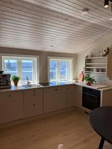 Central penthouse - 拉尔维克