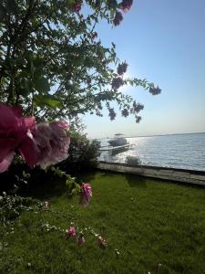 Lakefront Bliss on Old Mission Peninsula