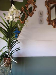 B&B / Chambres d'hotes Le Banellou : photos des chambres