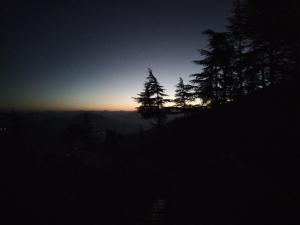 Tree Valley Homestay Chail