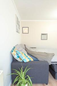 Appartements Le Flav - Charmant appartement a 10 mn de Dijon : photos des chambres