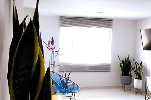 Dos habitaciones, dos baños, WIFI 220 mg Fibra