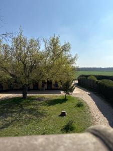 Chambre dans une Ecurie