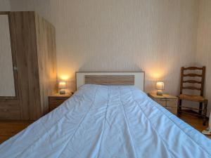 Maisons de vacances Maison de plain-pied en Brenne avec cour close, Wifi et proche de Chateauroux et etang de peche - FR-1-591-104 : photos des chambres