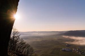 Fewo Rieslingglück - Urlaub im Wein- und Ferienort Bekond
