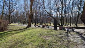 Apartament Piękna Katowice