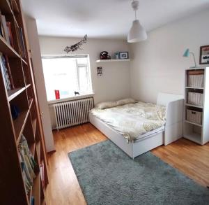 Bright 2 Bedroom Apartment in Reykjavik
