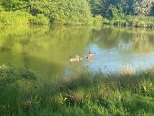 Hot Tub Retreat - Otium Wine Estate