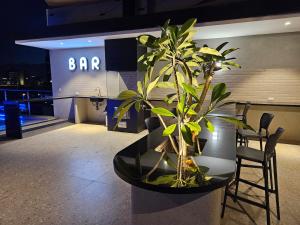 Modern Apartment with Rooftop Pool