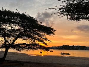 Tanga Nyusi Beachfront Bungalow Manda Island Lamu