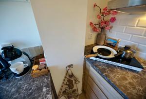 Maun Apartment
