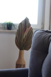 PAPILIO apartment Durrës