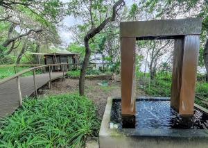 Malkoha Lake St Lucia
