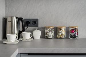 Lux Apart z Tarasem - CENTRUM - Parking Sauna Siłownia Meldunki 24na7