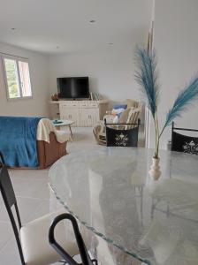 Appartements Grand F2 vue montagne : photos des chambres