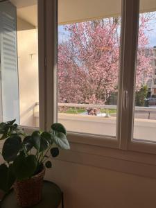 Appartements New & Cozy : photos des chambres