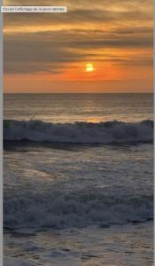 appartement au bord de locéan