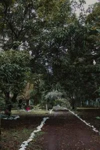 Mango Selva Bio Hotel - El Morro