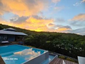 La Belle Dame - Laporte