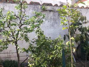 Maisons de vacances Maisonette bedogao : photos des chambres