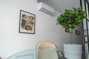 Akicity Rato Vanilla