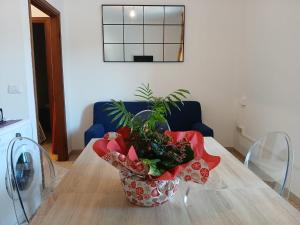 CV004 - Cervia, nuovo trilocale con aria condizionata