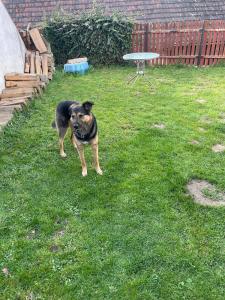 Chalupa Ve Stráních Deštná