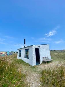 Monoambiente - Flower Power