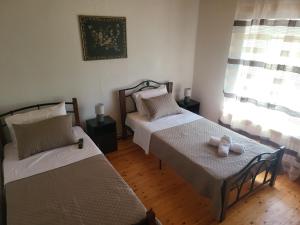 Αυλή της Ελιάς