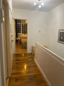 Modern, Elegant & Stylish House