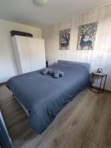 Appartements ThiLuCha Le ThiLu ALPE D'HUEZ gd domaine a Allemont : photos des chambres