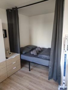 Le ThiCha Alpe dHuez Gd Domaine Allemond ThiLuCha