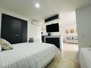 102 loft la merced- casa saza