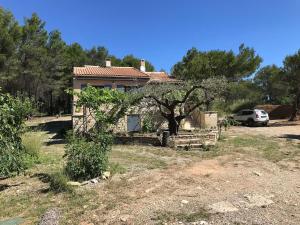 Maisons de vacances Gite de L'Embuissonnade : photos des chambres