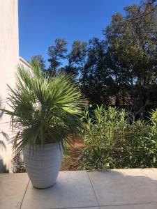 Villas T2 aile de villa et Spa-jacuzzi prive et illimite et plateau d'acceuil offert! : photos des chambres